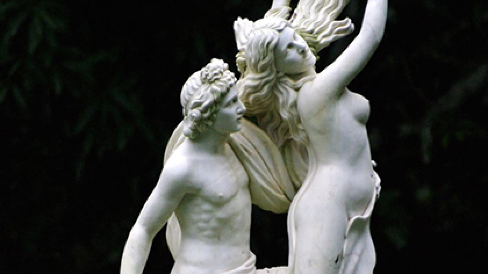 Dafne | Mitterer