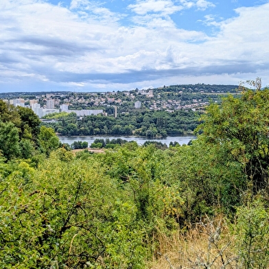 La fée des pelouses sèches vous invite dans son royaume 
