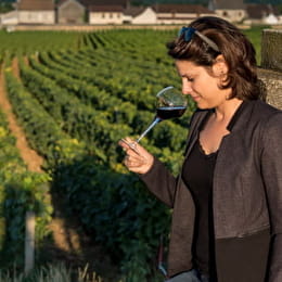 Burgundy Emotions - SAINT-PHILIBERT