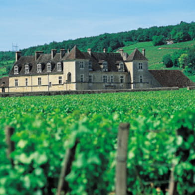 Château du Clos de Vougeot