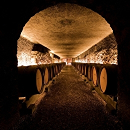 Marché aux Vins - Dégustation Découverte - BEAUNE