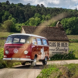 Chemins de Bourgogne - Circuit dans la Côte de Nuits, en Combi - Après-midi - DIJON