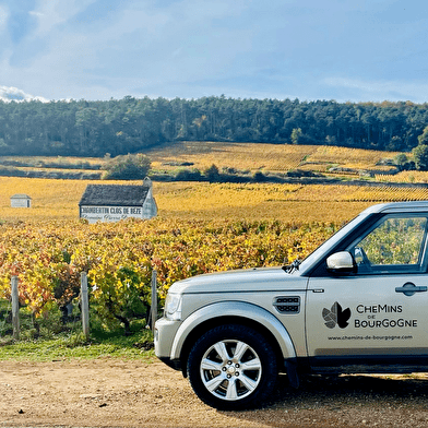 Chemins de Bourgogne - Journée en Côte de Beaune et Côte de Nuits