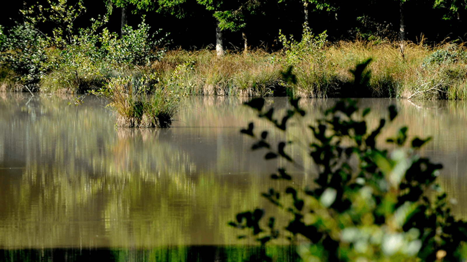 Balade photographique nature