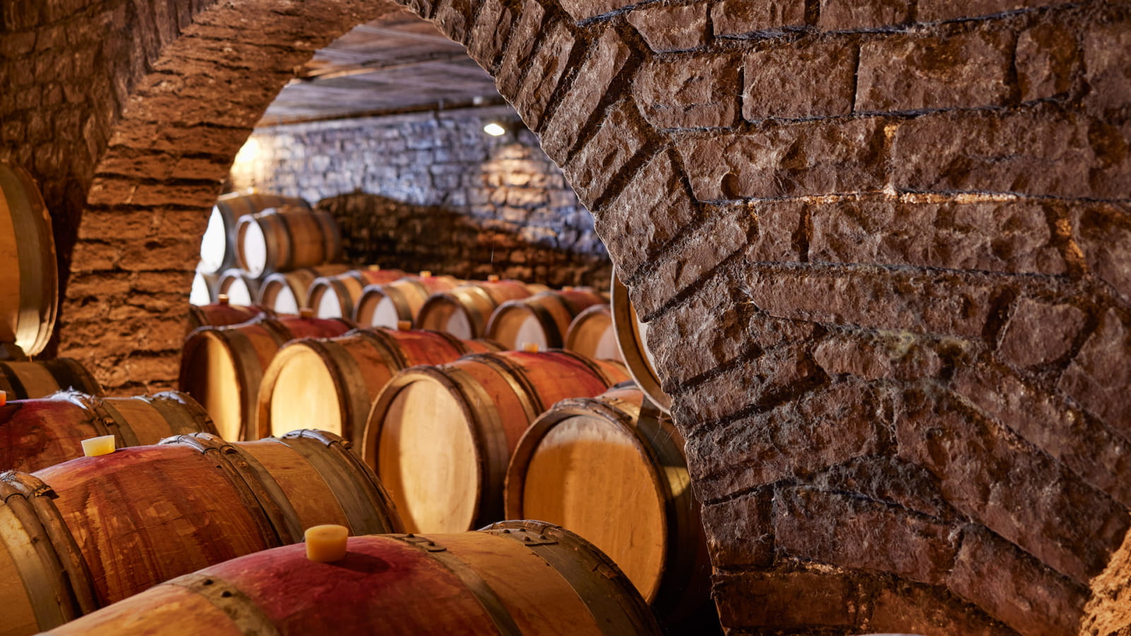 Dégustation découverte vente des vins de Beaune