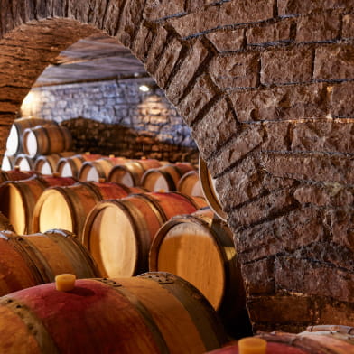 Domaine Besancenot - Vente des Vins 2025 : Dégustation Spéciale Vente de vins de Beaune 