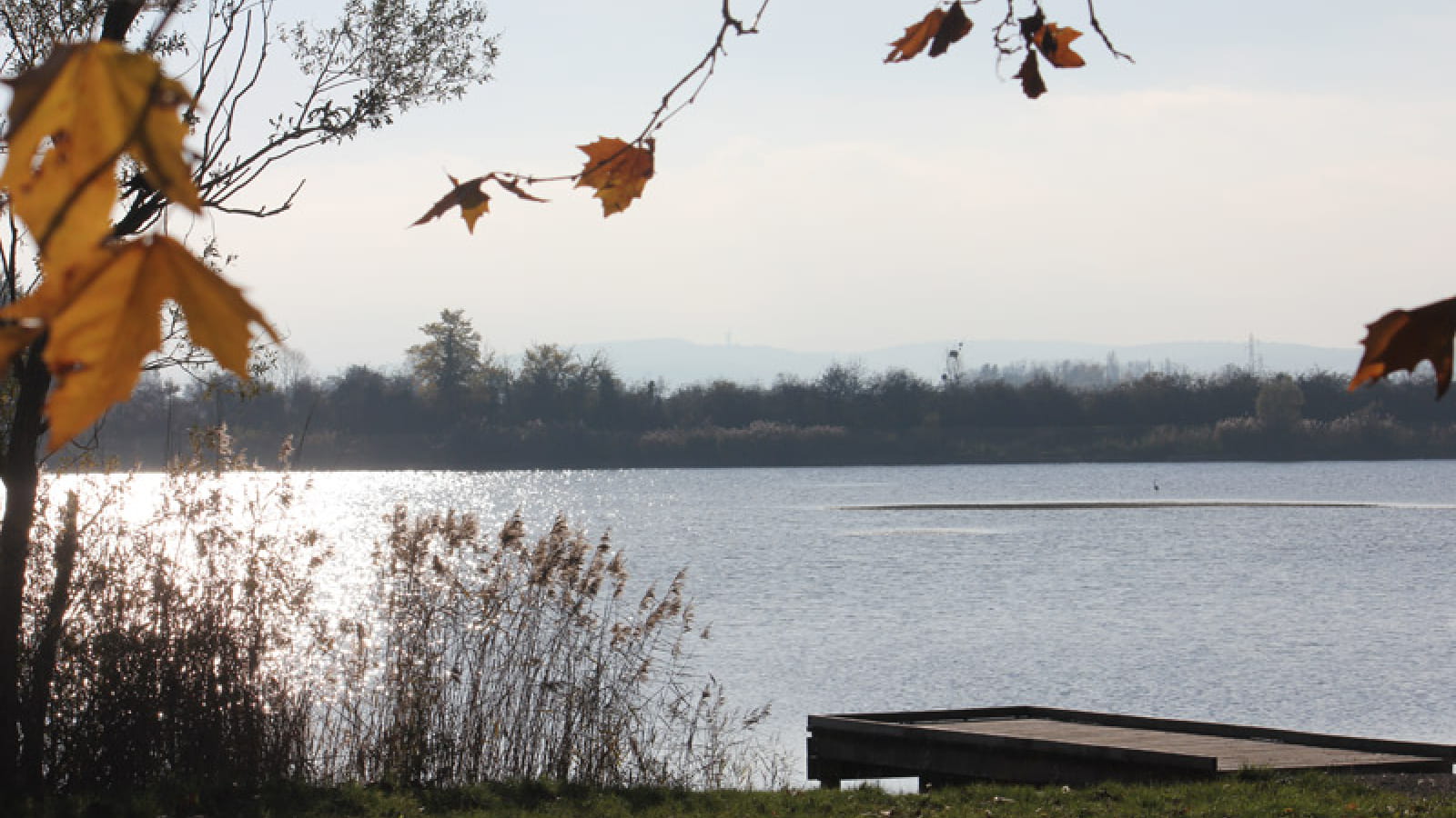 Les Etangs d'Or - Parc Eco Loisirs de Merceuil Tailly 