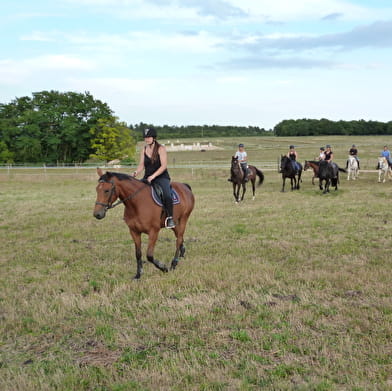 Balade à cheval par Mountain Farm