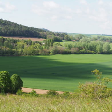 Mont de Marcilly