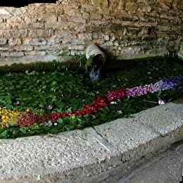 MARCELLOIS - MARCELLOIS