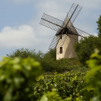 Visite guidée du Moulin Sorine