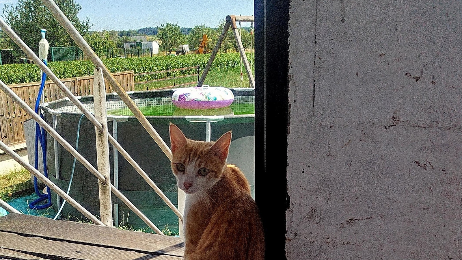 Gîte Chez Paddy
