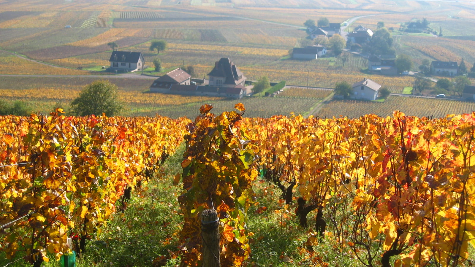 Bourgogne Authentique