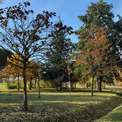 Arboretum de la Tuilerie