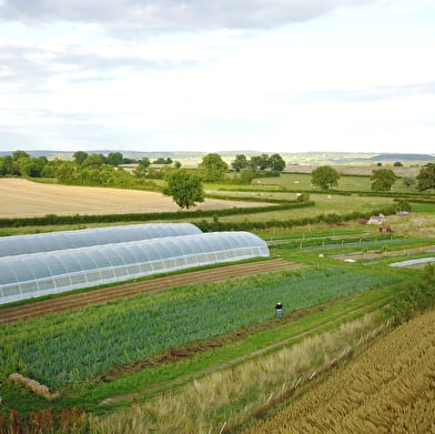 Les jardins de Longecourt