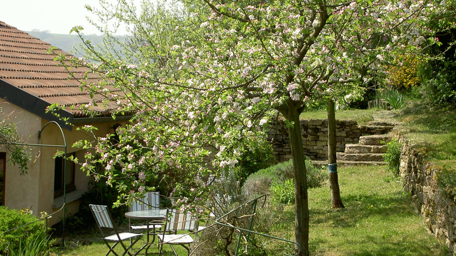 Le Verger sous les Vignes