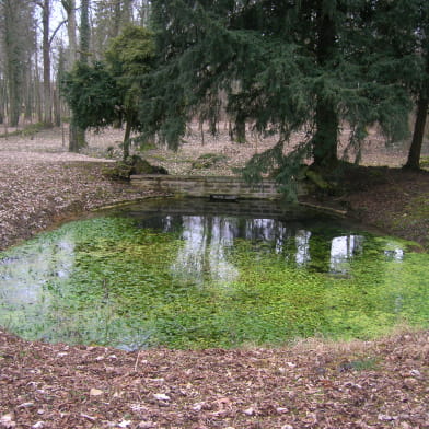 Balades naturalistes gratuites sur la nappe de Dijon Sud  et de la Cent Fonts - Parcours 1 (Fénay-Saulon-la-Rue) - ENS2024