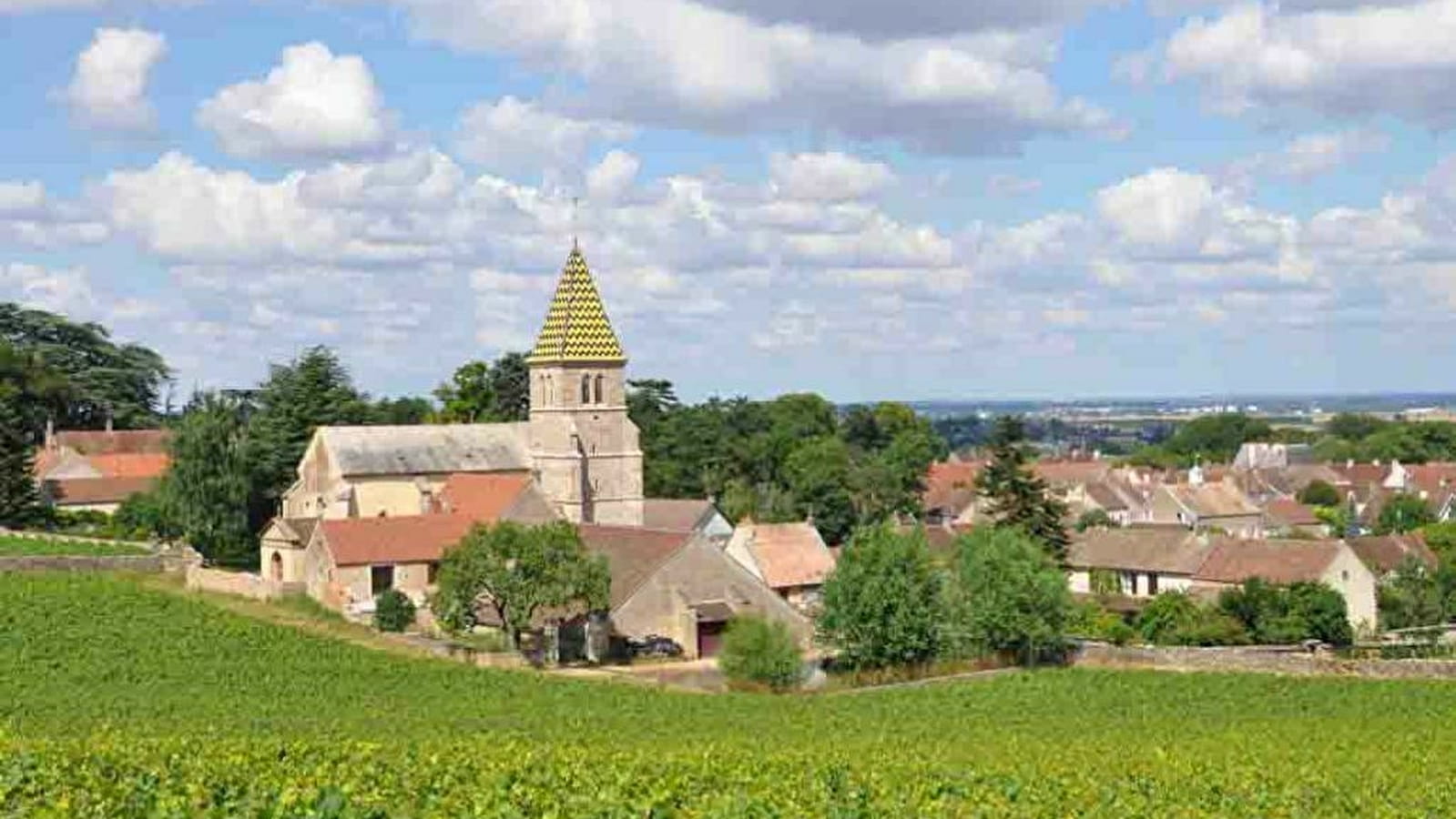 Circuit privatisé 1/2 journée - Côte de Nuits, Au paradis du Pinot noir - Après-midi