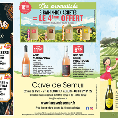 Cave de Semur