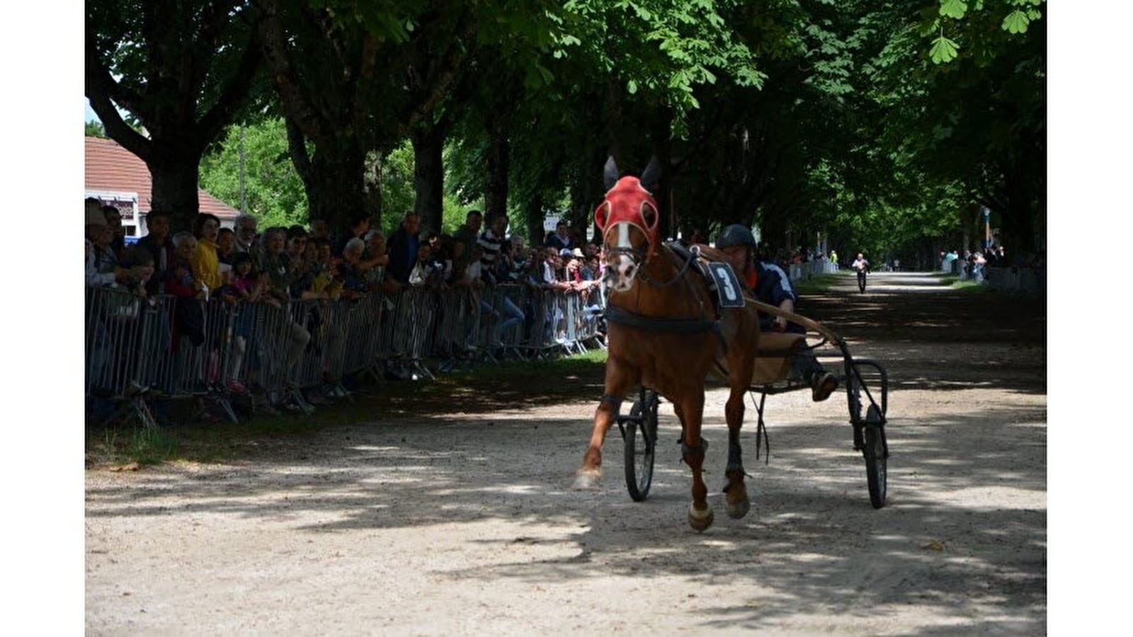 Courses à la Timbale - Fêtes de la Bague
