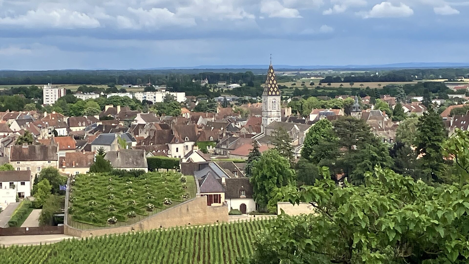 Visite guidée de Nuits-Saint-Georges