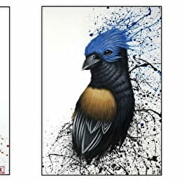 Exposition Florian Labaye 'Rêves Sauvages' et LPO 'Portraits d'oiseaux'  - DIJON