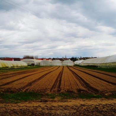 Les Maraichers du Pré Velot