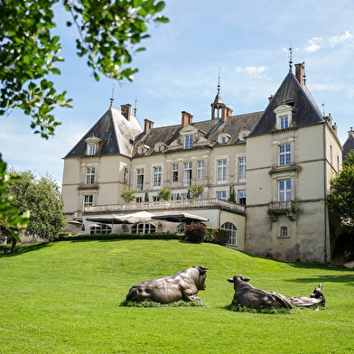 Fantastic Picnic au Château Sainte Sabine