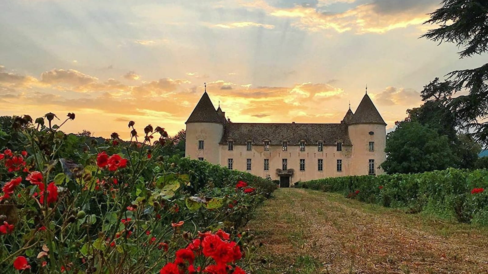 Château de Savigny - Réceptions & Mariages
