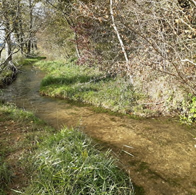 Balades naturalistes gratuites sur la nappe de Dijon Sud  et de la Cent Fonts - Parcours 2 (Saulon-la-Chapelle ; Noiron-sous-Gevrey) - ENS2024