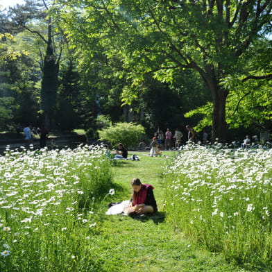 Jardin de l'Arquebuse - Jardin botanique