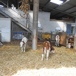 Ferme pédagogique du GAEC des 3 provinces - MONTIGNY-MORNAY-VILLENEUVE-SUR-VINGEANNE